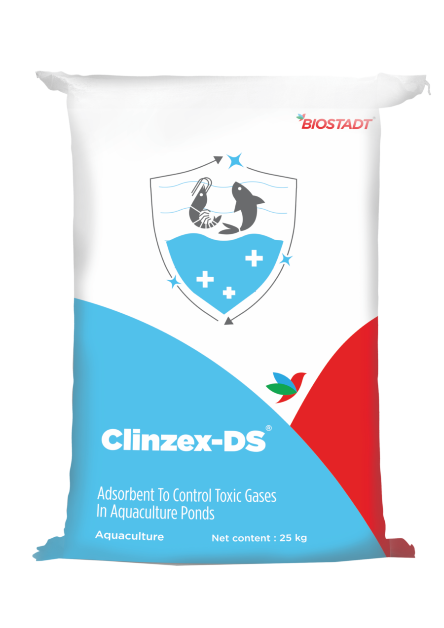 Clinzex-DS